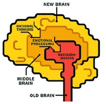 neuromarketing