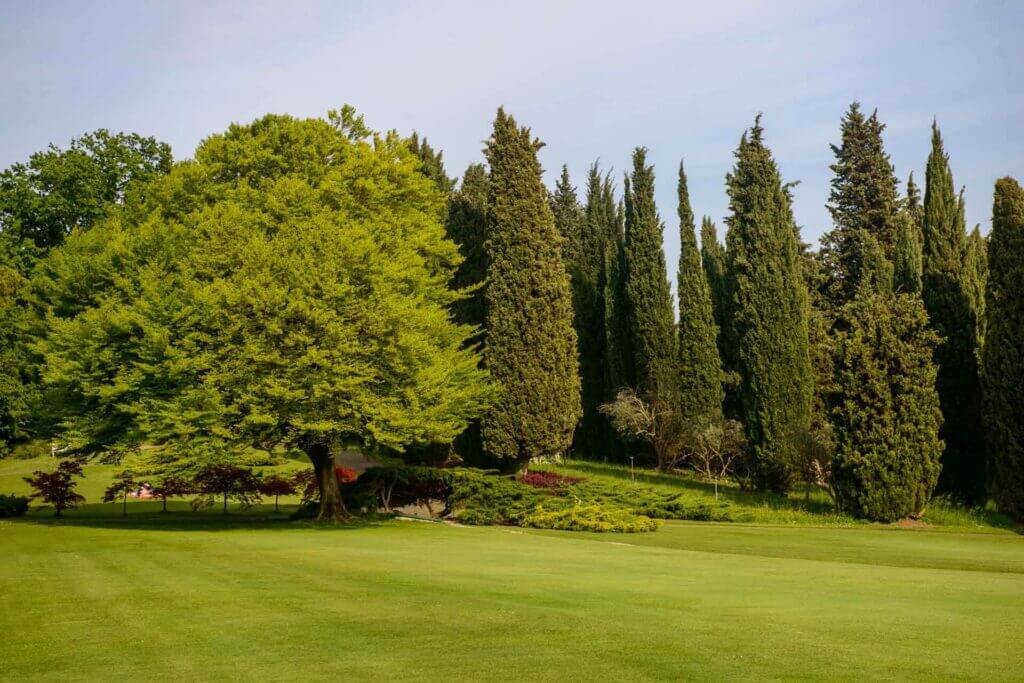 Parco Giardino Sigurtà - Grande Tappeto Erboso