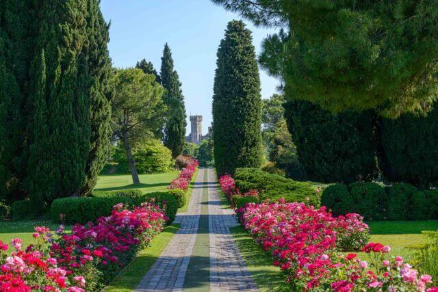 Parco Giardino Sigurtà - Viale delle Rose