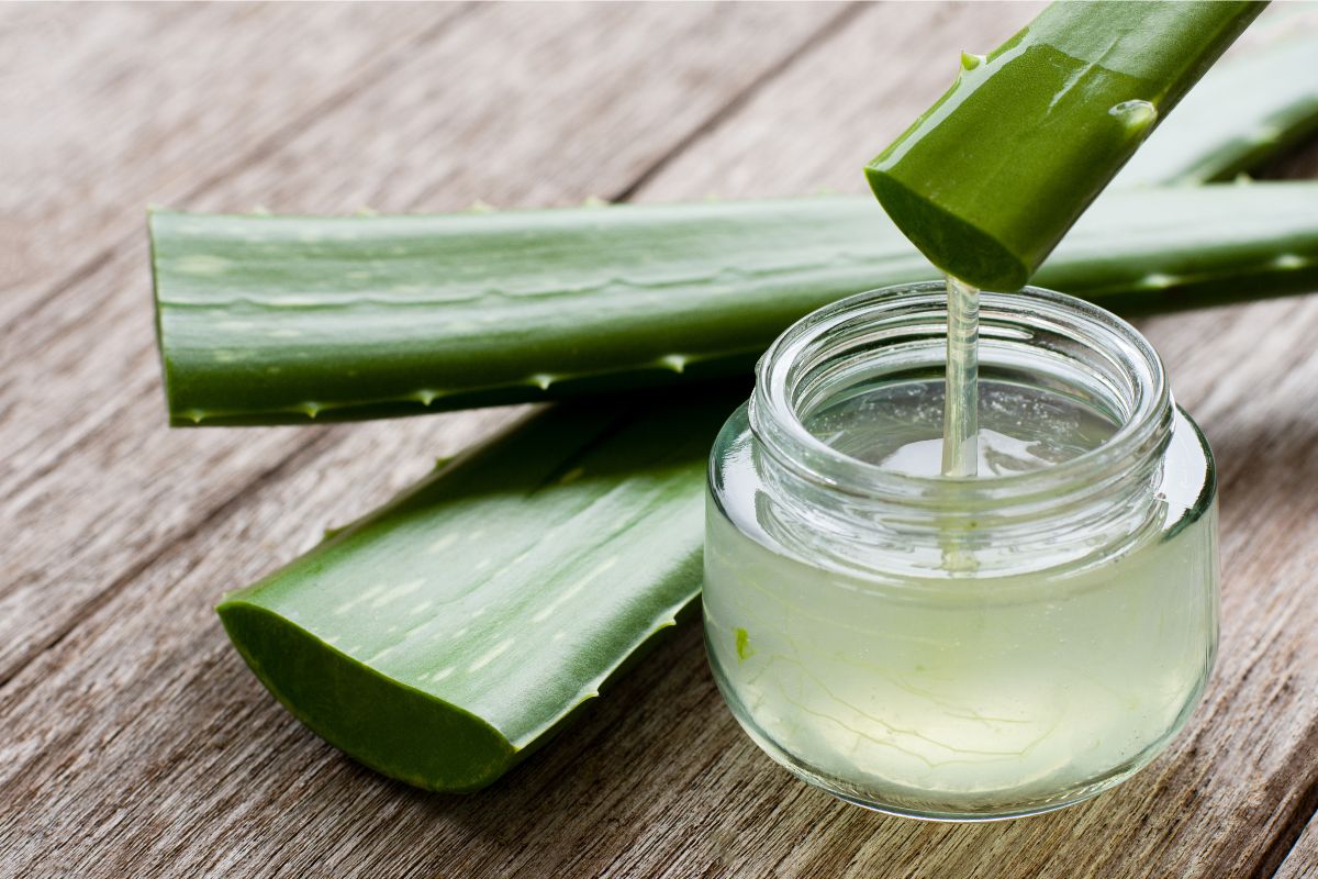 Aloe vera, componente fondamentale per salviettine igienizzanti fai da te