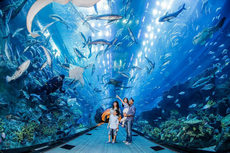 Dubai, 10 motivi per visitarla nel 2025 - TRAVEL & SPA Magazine | Rivista di viaggi Dubai Aquarium