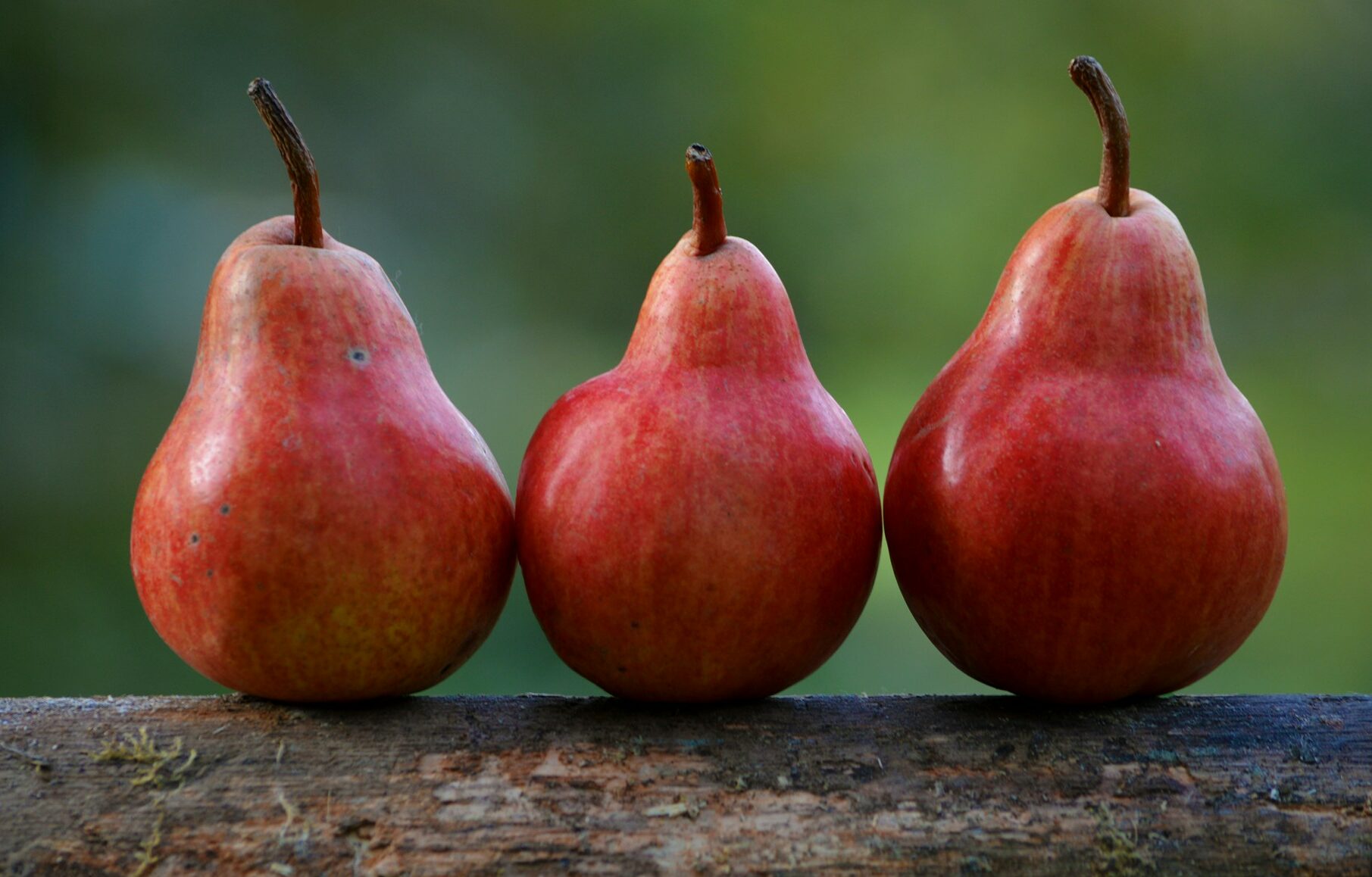 Acqua Sant'Anna lancia SanFruit: la nuova linea di bevande alla frutta
