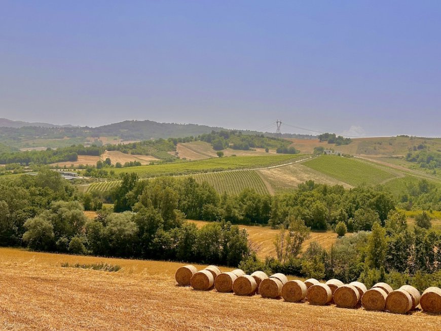Fonzone: il racconto di una famiglia che ha messo radici tra le vigne dell’Irpinia