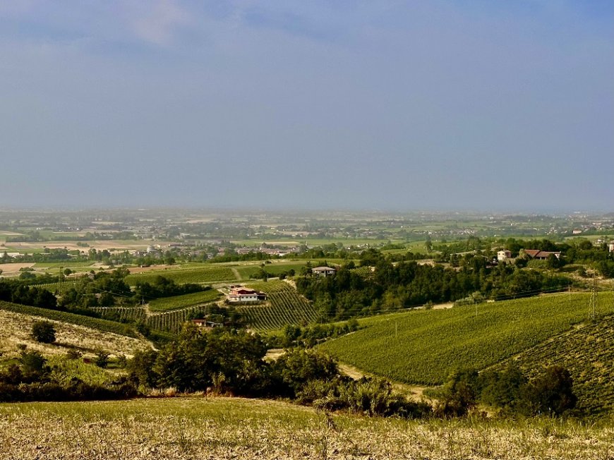 Alla scoperta dell’Oltrepò Pavese con Cantina La Genisia & Parte I