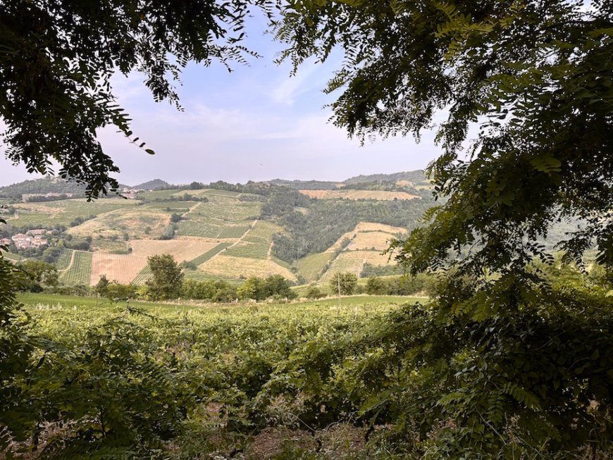 Alla scoperta dell’Oltrepò Pavese con Cantina La Genisia & Parte II