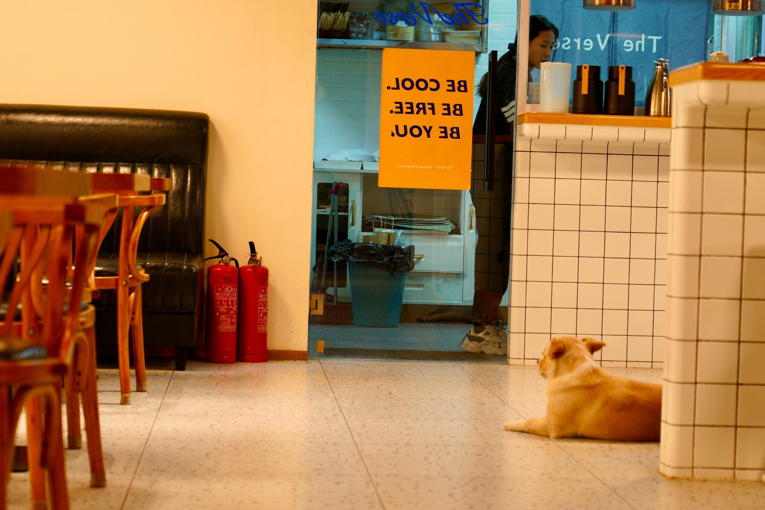 Implementare una politica pet-friendly strutturata aumenta la soddisfazione degli ospiti e riduce i reclami negli hotel