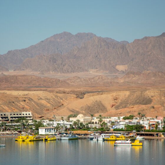 Coastal resort town with palm trees, low-rise buildings, and a marina of yellow boats against calm water, mountains in the distance.