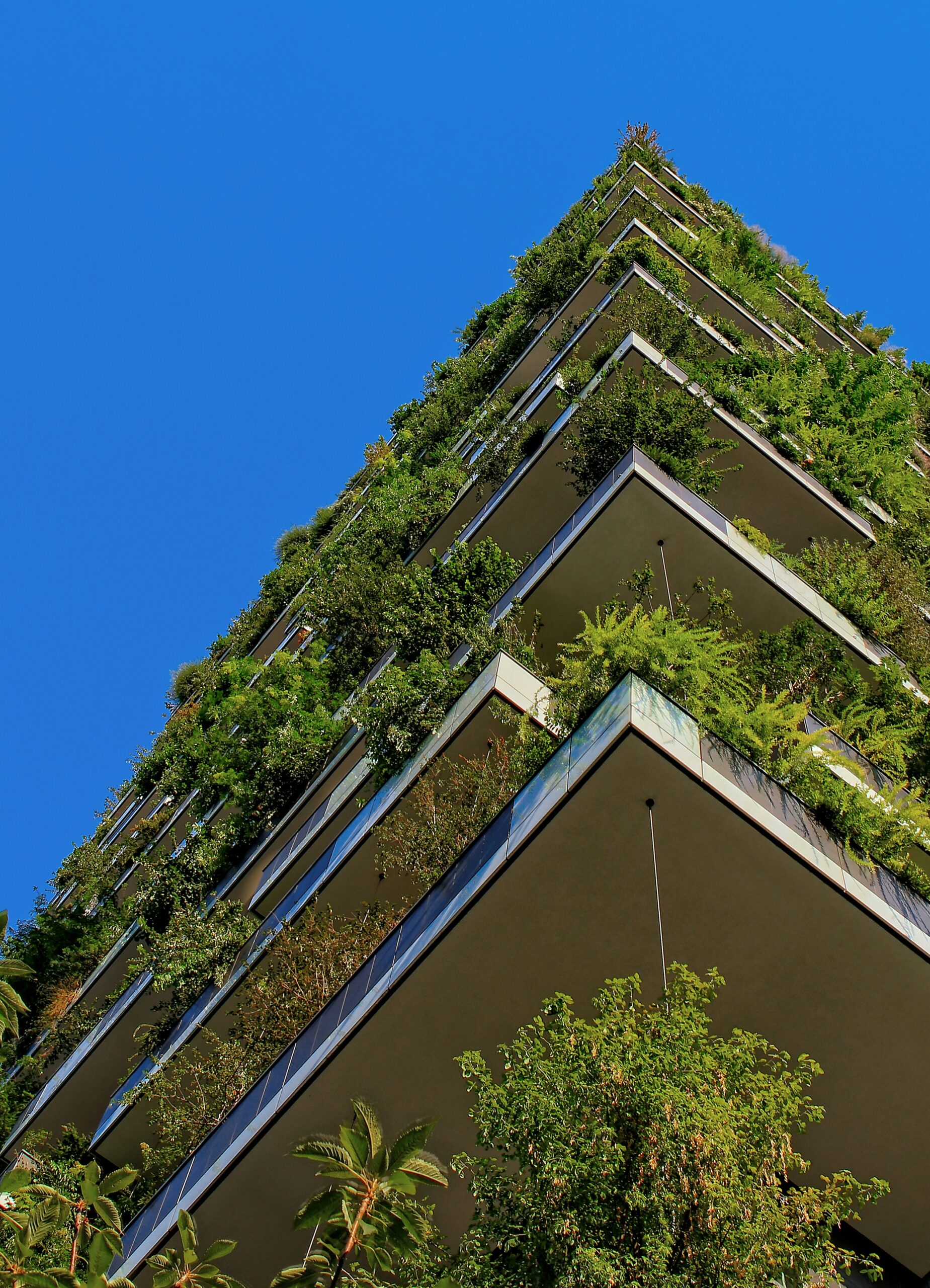 Microdevice Lancia Open Green®: Tecnologia per Accesi Senza Batterie e Riduzione dell'Impatto Ambientale negli Hotel