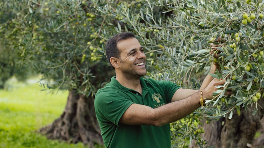 Salvatore Di Girolamo lancia Katarì, olio Nocellara del Belìce, con edizione artistica per Gibellina 2026.