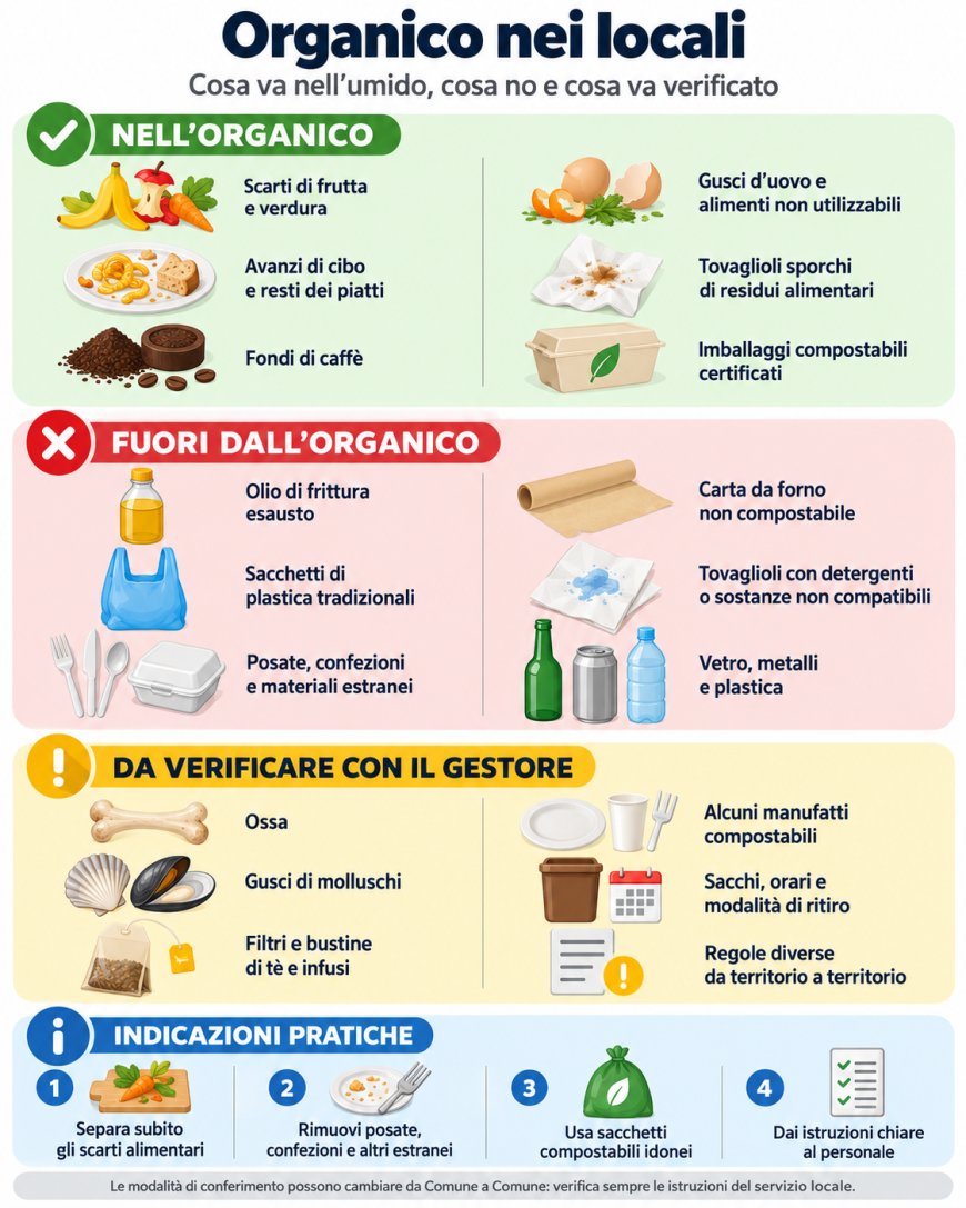 Rifiuti organici nei locali: come gestire umido, compostabili e olio esausto