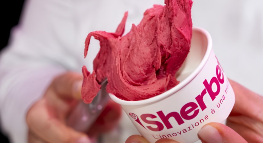 CNR-IBE e The Italian Way Collaborano per Sviluppare il Gelato Artigianale attraverso il Progetto PROGEAS